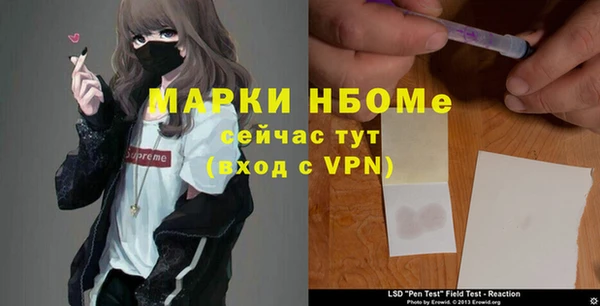 стаф Сафоново