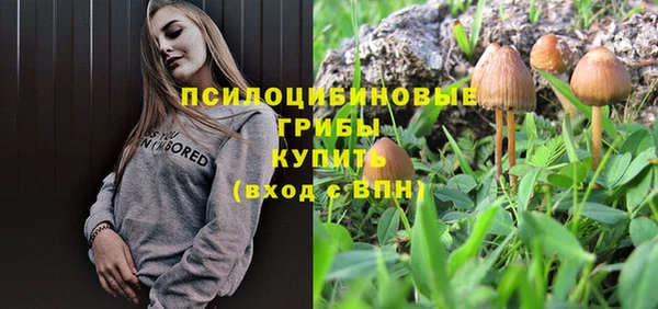 стаф Сафоново