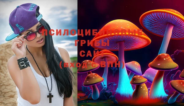 apvp Сатка