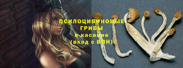 стаф Сафоново