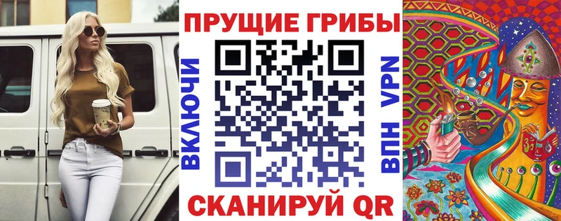 Купить  Новый Уренгой  Галлюциногенные грибы GOLDEN TEACHER